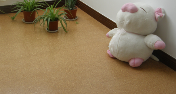 軟木地板的優(yōu)勢(shì)是什么，中林帶你了解一下！